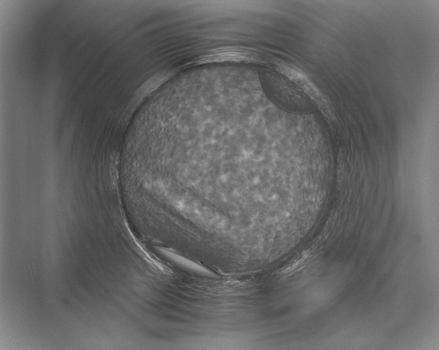 X0000072521233200608111712