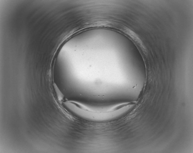 X0000072521234200608111712