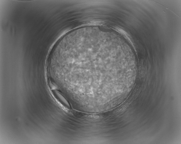 X0000072521235200608111712