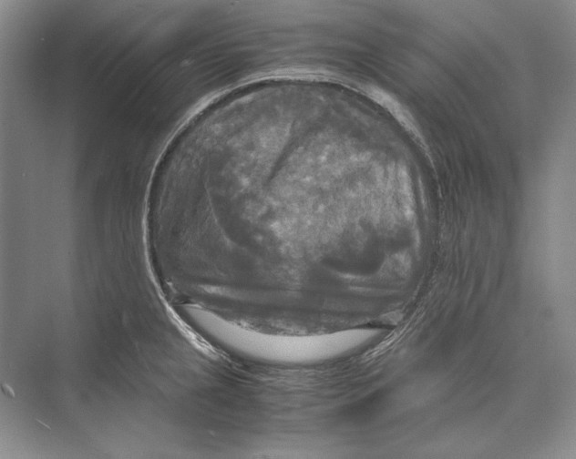 X0000072521237200608111712