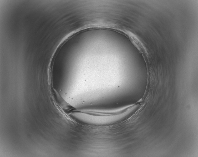 X0000072521238200608111712