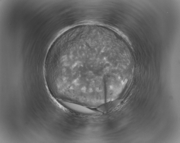 X0000072521239200608111712