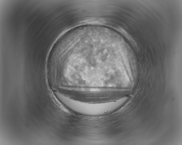 X0000072521240200608111712