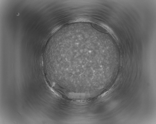 X0000072521241200608111712