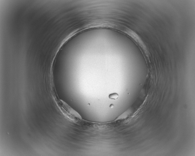 X0000072521242200608111712