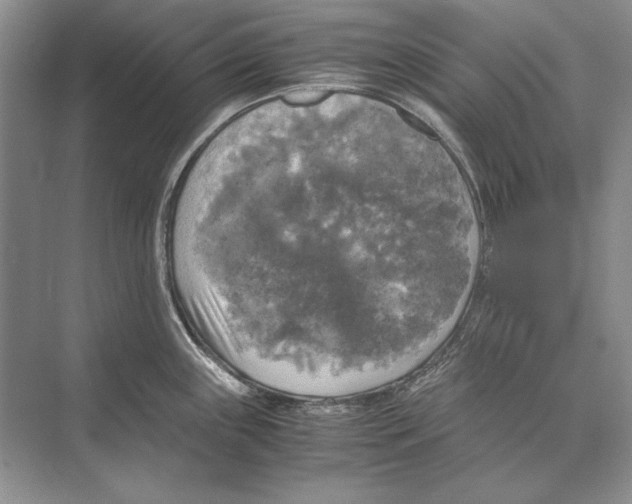 X0000072521243200608111712