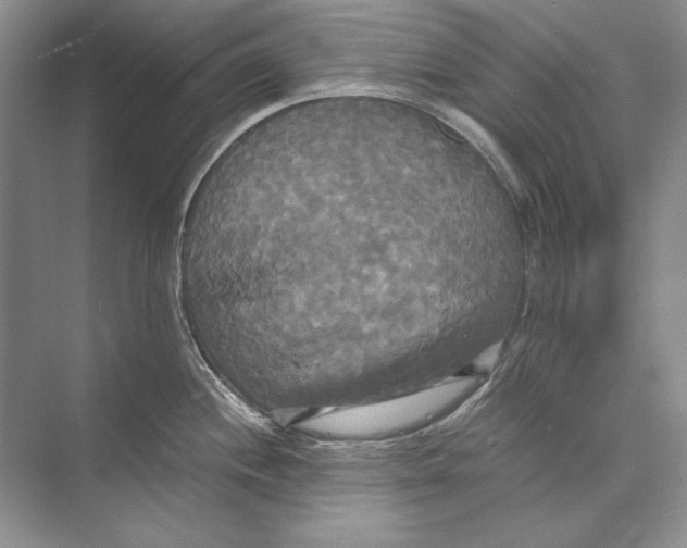 X0000072521244200608111712