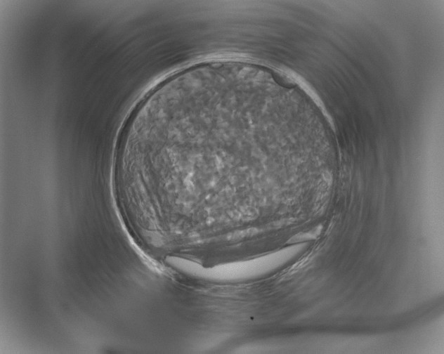 X0000072521245200608111712