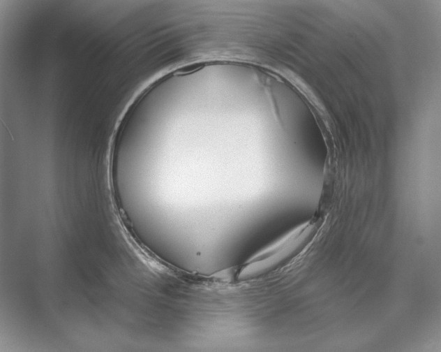 X0000072521246200608111712