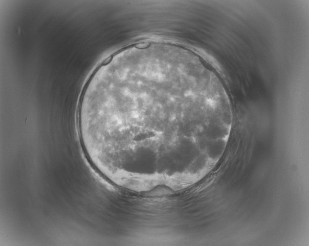 X0000072521247200608111712