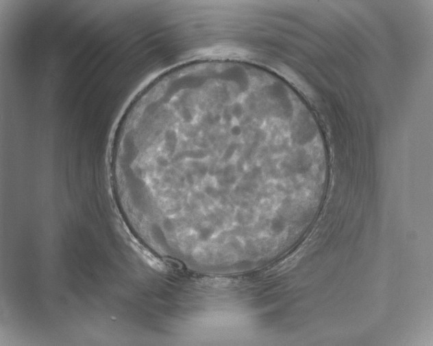 X0000072521248200608111712