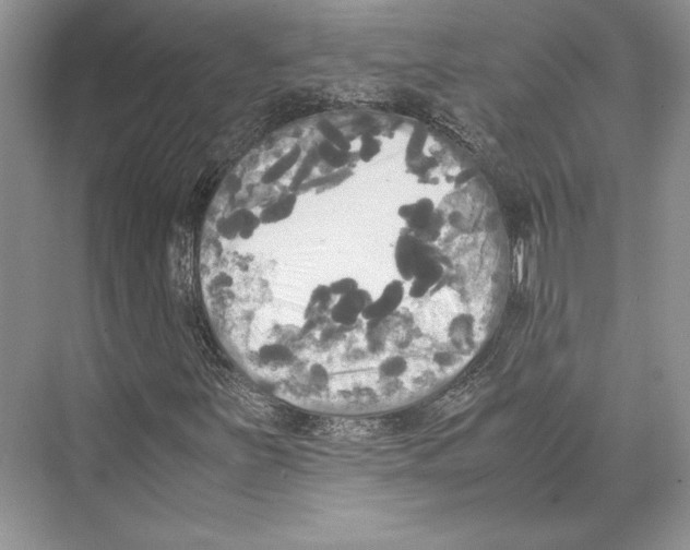 X0000072521251200608111711