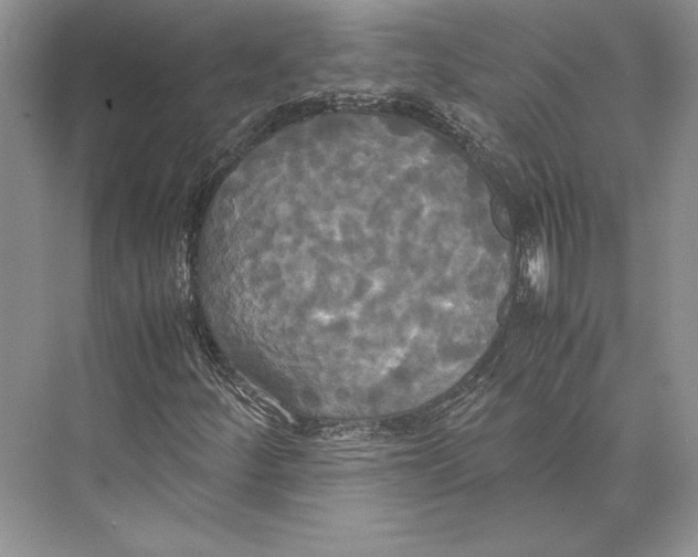 X0000072521252200608111711