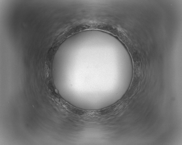 X0000072521253200608111711