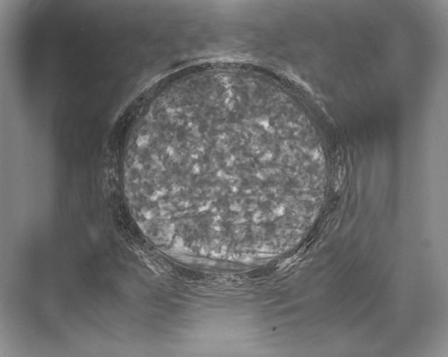 X0000072521255200608111711