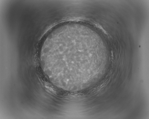 X0000072521256200608111711