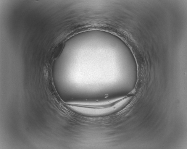 X0000072521257200608111711