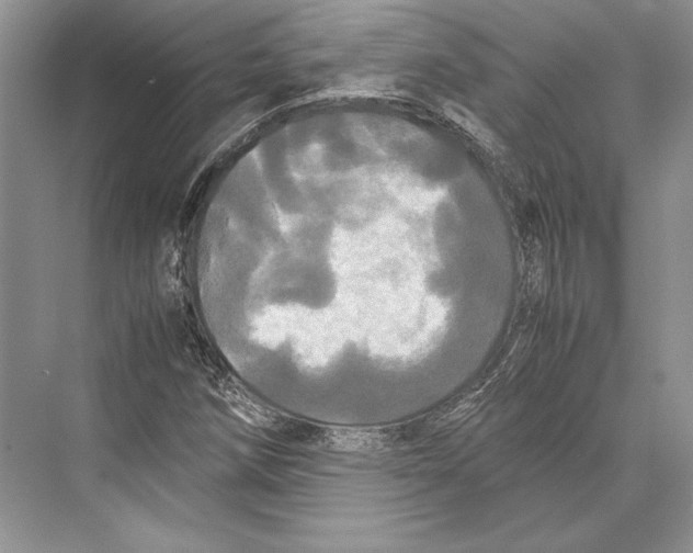 X0000072521258200608111711