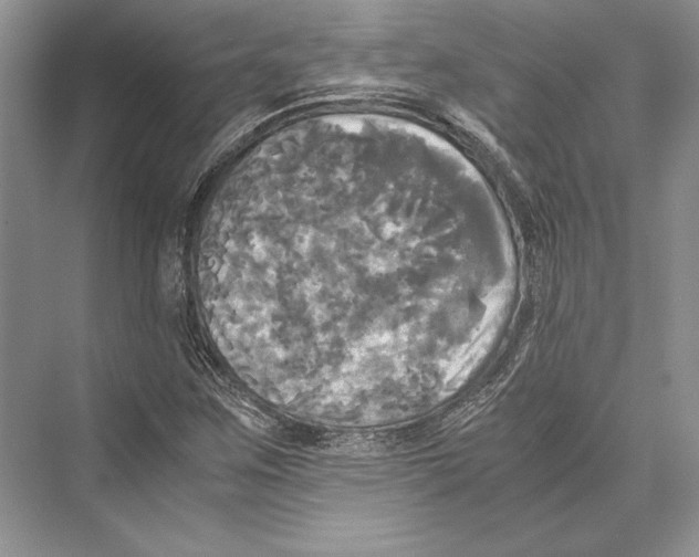 X0000072521259200608111711