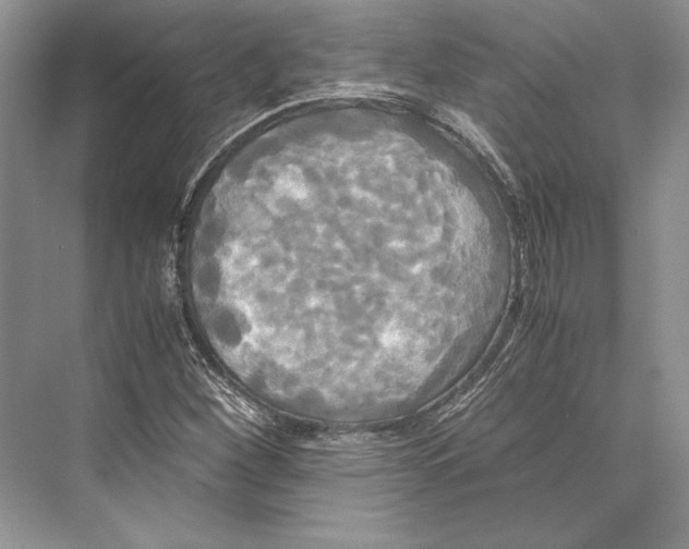 X0000072521260200608111711