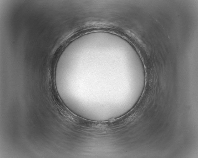 X0000072521261200608111711