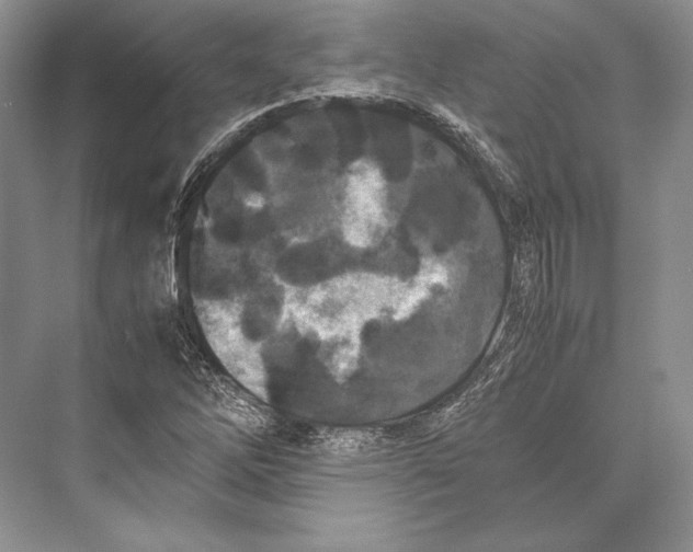 X0000072521262200608111711