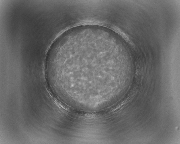 X0000072521264200608111711