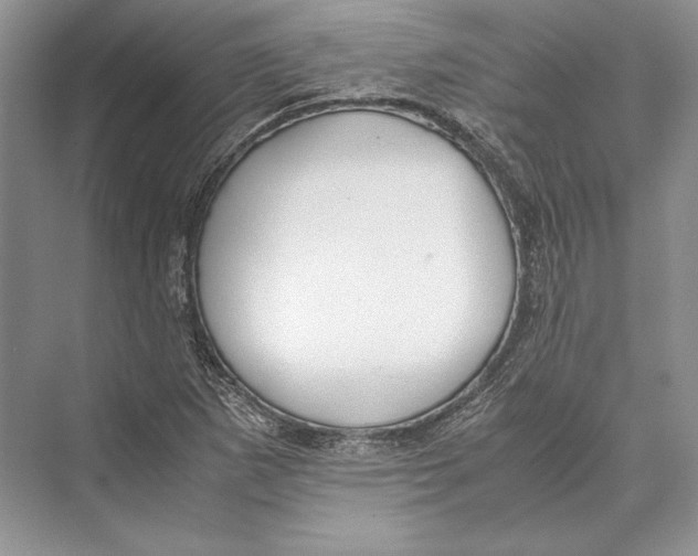 X0000072521265200608111711