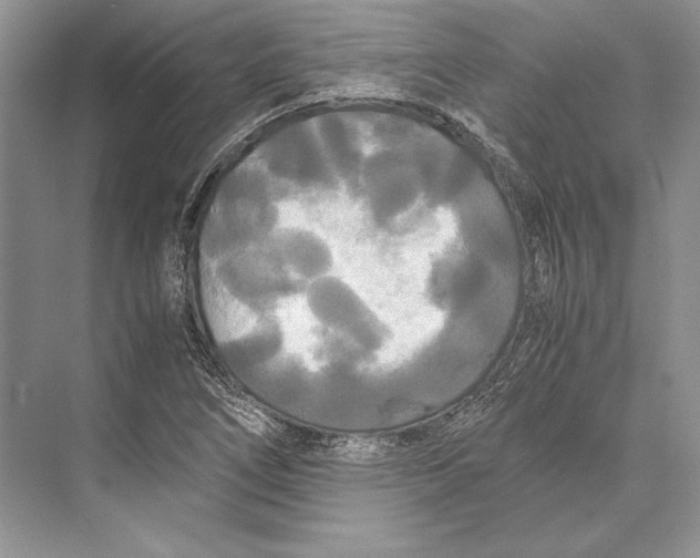 X0000072521266200608111711