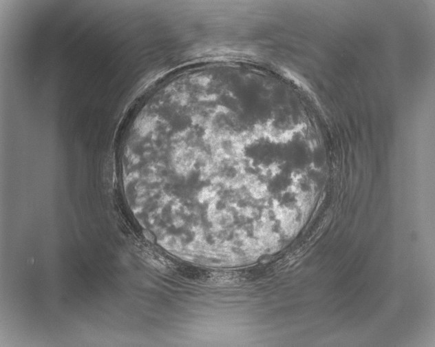 X0000072521267200608111711