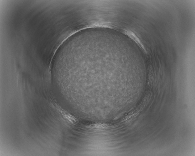 X0000072521268200608111711