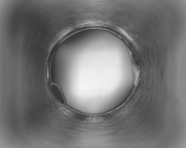 X0000072521269200608111711