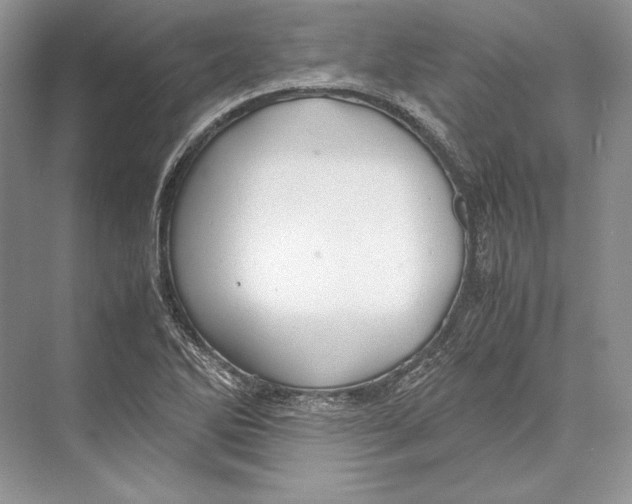 X0000072521270200608111711