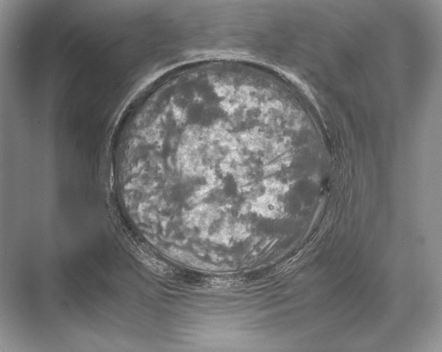 X0000072521271200608111711