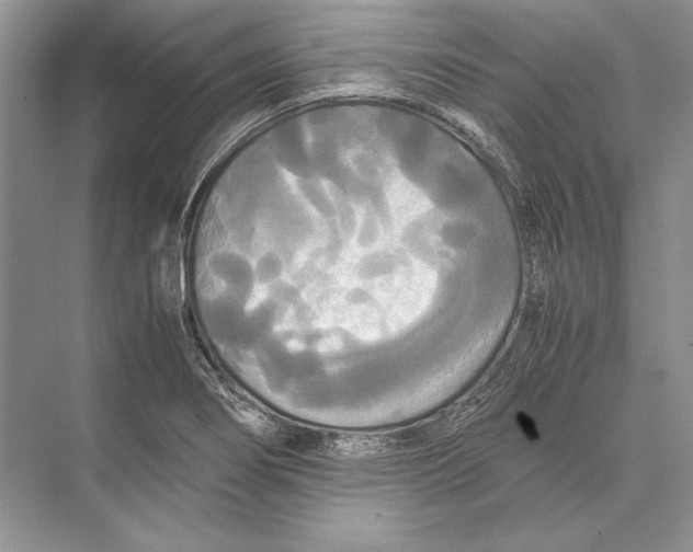 X0000072521274200608111711