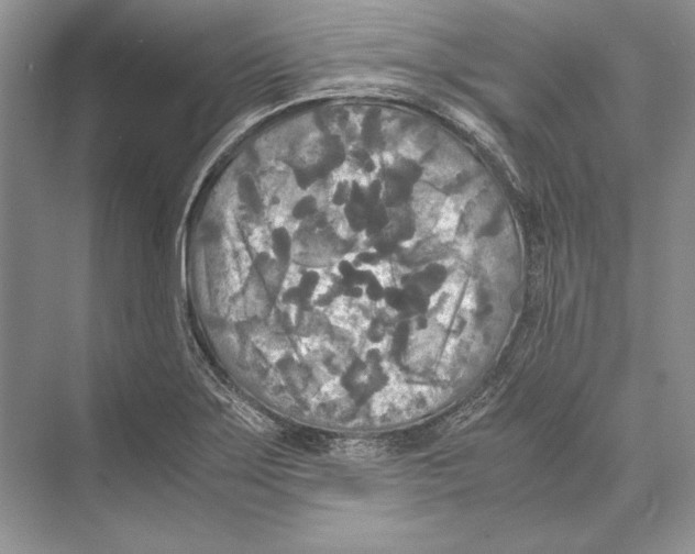 X0000072521275200608111711