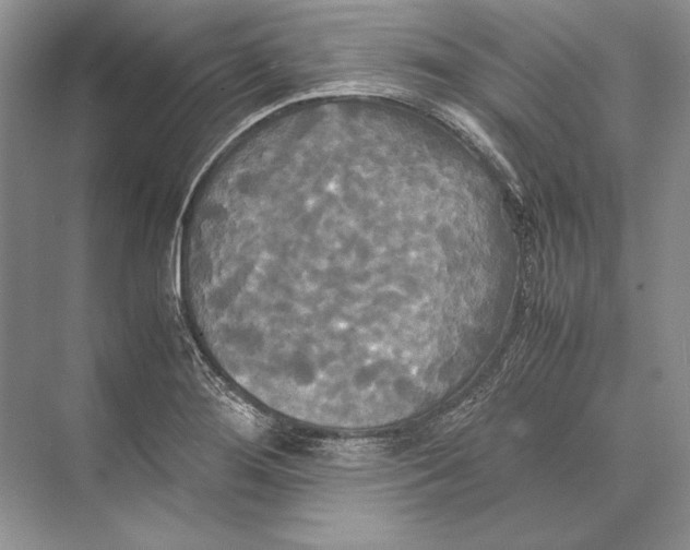 X0000072521276200608111711