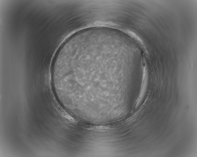 X0000072521280200608111710