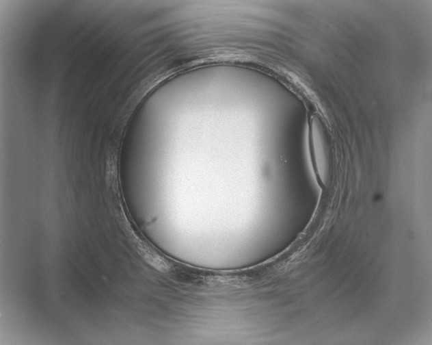 X0000072521281200608111710