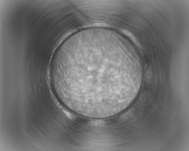 X0000072521282200608111710