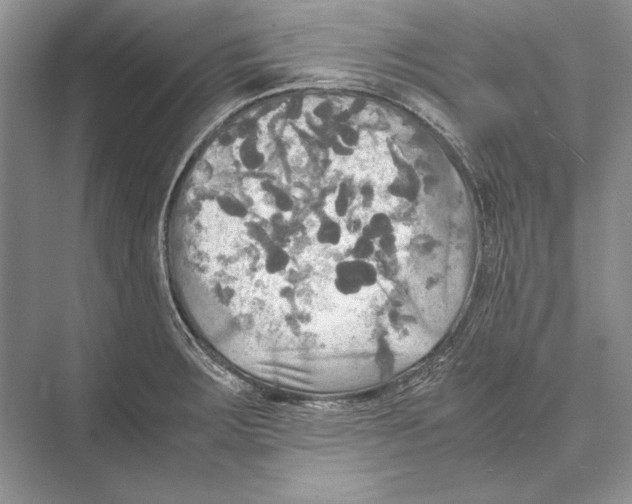 X0000072521283200608111710