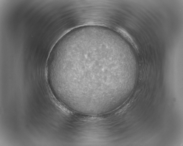 X0000072521284200608111710