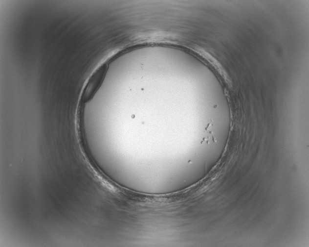 X0000072521285200608111710