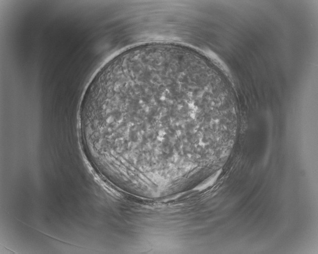 X0000072521287200608111710