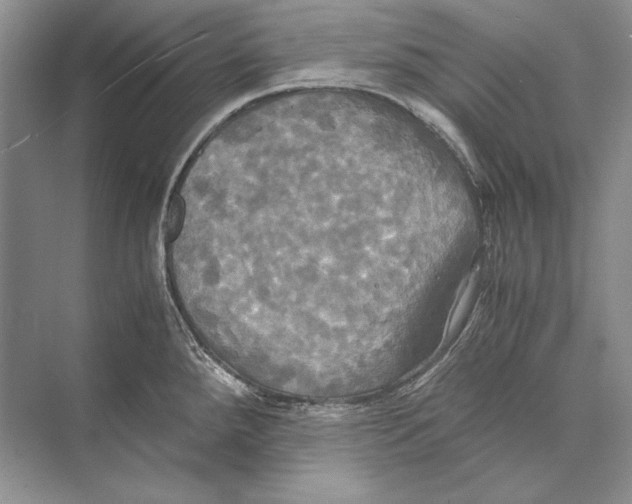 X0000072521288200608111710