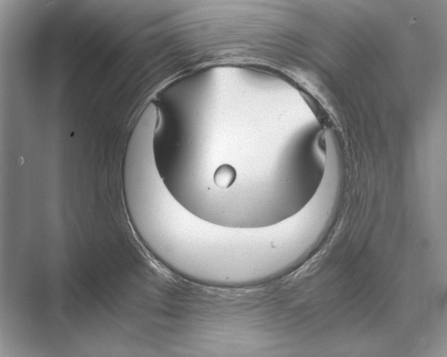 X0000072521289200608111710