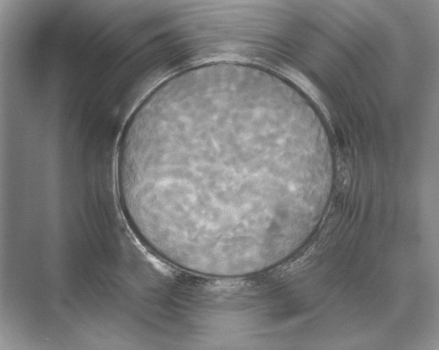 X0000072521290200608111710