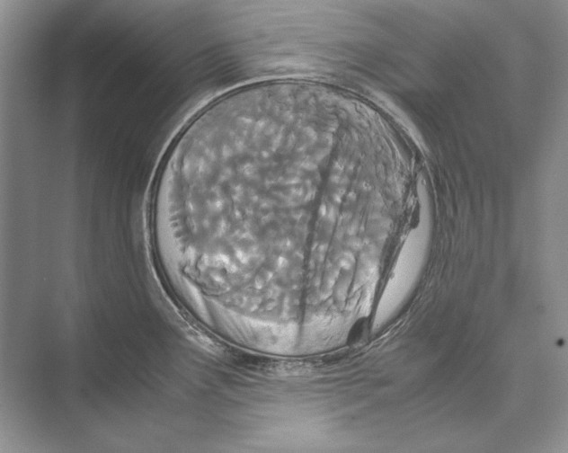 X0000072521291200608111710