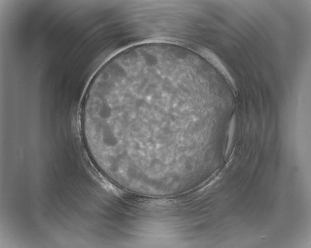 X0000072521292200608111710