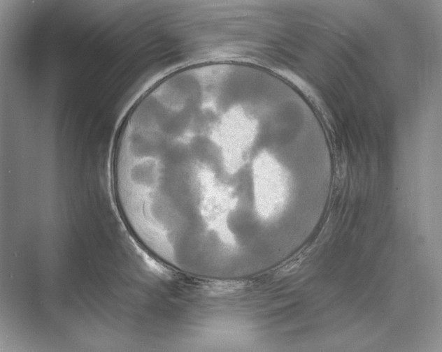 X0000072521294200608111710